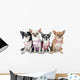 Four Fashionable Chihuahuas Wall Decal