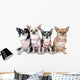 Four Fashionable Chihuahuas Wall Decal
