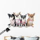 Four Fashionable Chihuahuas Wall Decal