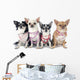 Four Fashionable Chihuahuas Wall Decal