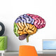 Human brain anatomy Wall Decal