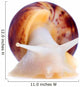 Big African Snail Wall Decal