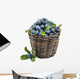 Fresh Blueberry Fruit Wall Decal