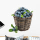 Fresh Blueberry Fruit Wall Decal