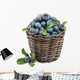 Fresh Blueberry Fruit Wall Decal