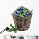 Fresh Blueberry Fruit Wall Decal