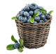 Fresh Blueberry Fruit Wall Decal