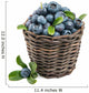 Fresh Blueberry Fruit Wall Decal