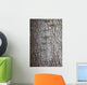 Tree Bark over Crust Wall Decal