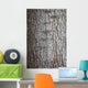 Tree Bark over Crust Wall Decal
