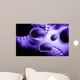 Influenza Virus Wall Decal