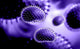 Influenza Virus Wall Decal