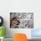 Tiger Winter Wall Decal