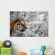 Tiger Winter Wall Decal