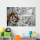 Tiger Winter Wall Decal