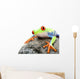 Frog on a Rock Isolated Wall Decal