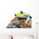 Frog on a Rock Isolated Wall Decal