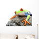 Frog on a Rock Isolated Wall Decal