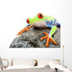 Frog on a Rock Isolated Wall Decal