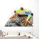 Frog on a Rock Isolated Wall Decal