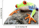 Frog on a Rock Isolated Wall Decal