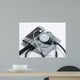 medical tools Wall Mural