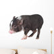 Baby Pot-bellied Pig Wall Decal