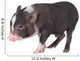 Baby Pot-bellied Pig Wall Decal