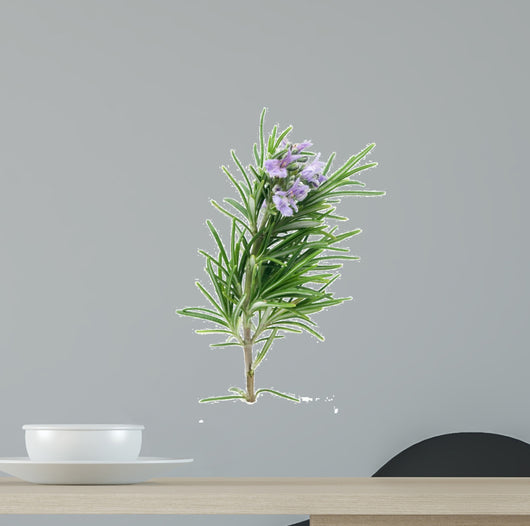 Rosemary Wall Decal