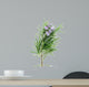 Rosemary Wall Decal