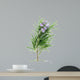 Rosemary Wall Decal