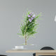Rosemary Wall Decal