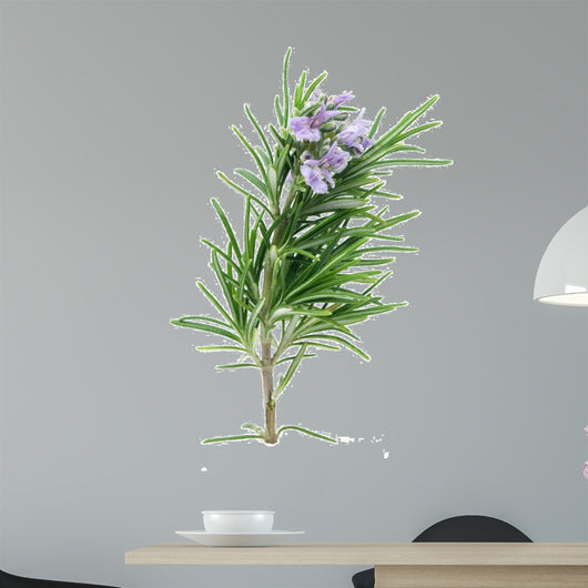 Rosemary Wall Decal