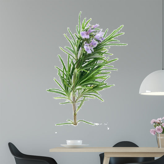 Rosemary Wall Decal