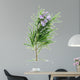 Rosemary Wall Decal