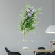 Rosemary Wall Decal