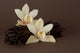 Vanilla Beans with Flowers Wall Decal