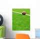 American football Wall Mural