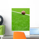 American football Wall Mural