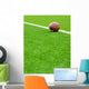 American football Wall Mural