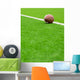 American football Wall Mural
