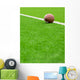 American football Wall Mural