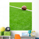 American football Wall Mural