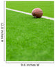American football Wall Mural