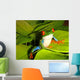 Red-eyed Tree Frog Wall Decal