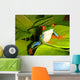 Red-eyed Tree Frog Wall Decal