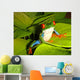 Red-eyed Tree Frog Wall Decal