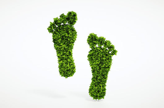 Ecological Footprints Wall Decal