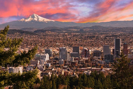 Beautiful Vista Portland Oregon Wall Decal