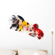 Siamese Fighting Fish Wall Decal
